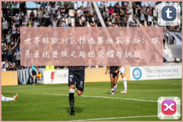 世界杯欧洲区预选赛独家专访：球员亲述晋级之路的荣耀与挑战
